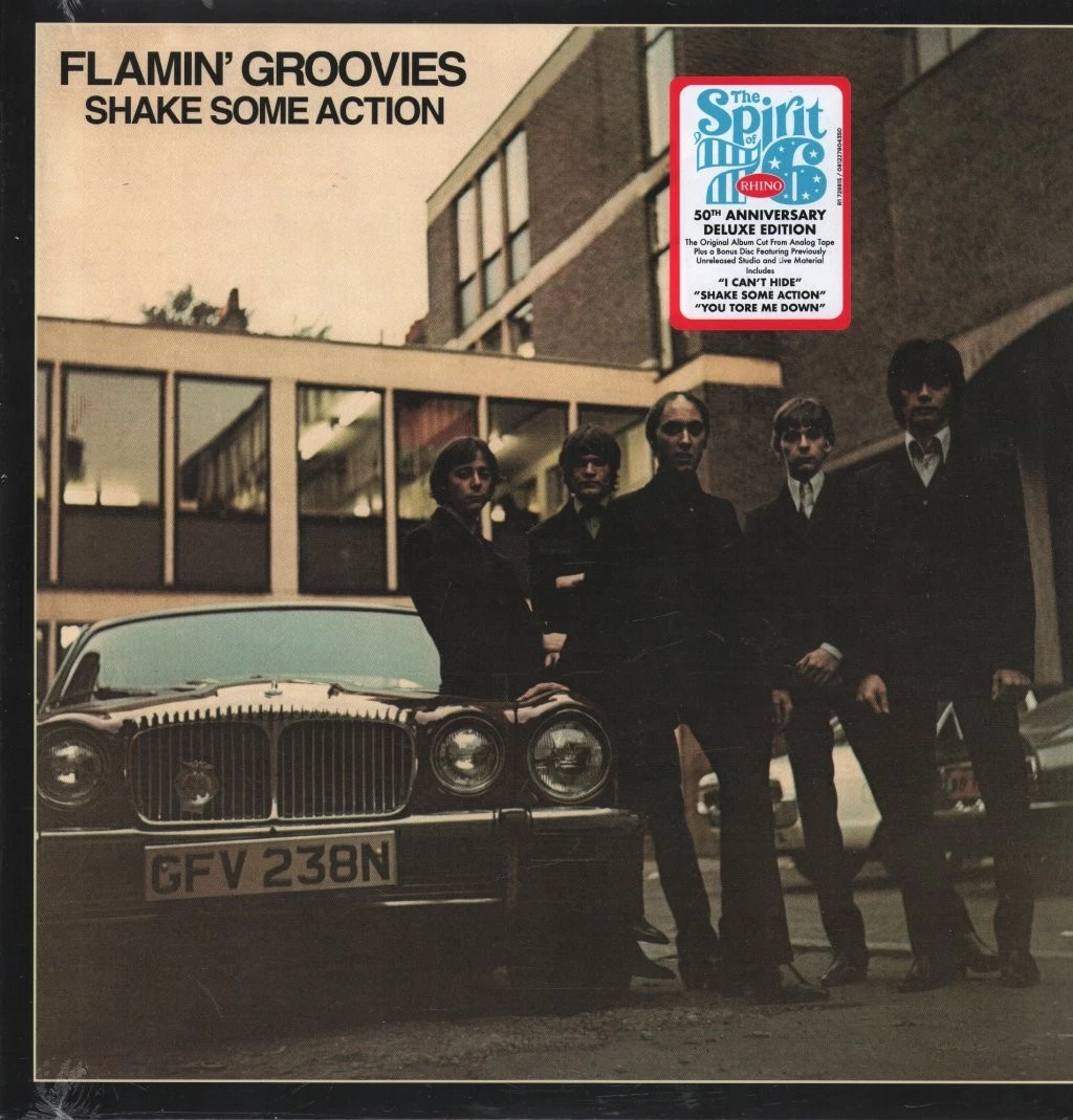 Flamin' Groovies - Shake Some Action - LTD. (2XLP)